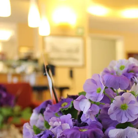 Albatros Hotel Mestre